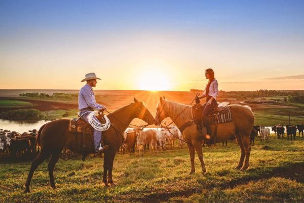 Marion County Is The Horse Capital Of The World 